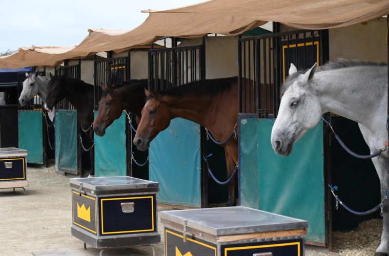 horse tack box