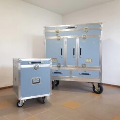 Cases and Trunks