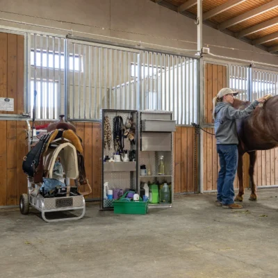 Equine Tack Box